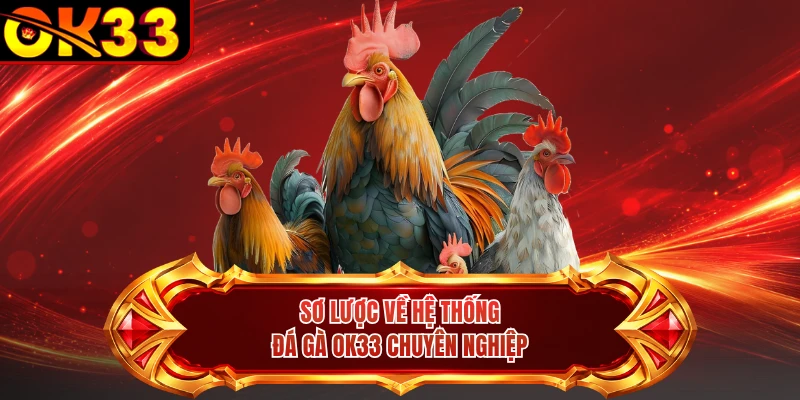 Sơ lược về hệ thống đá gà OK33 chuyên nghiệp